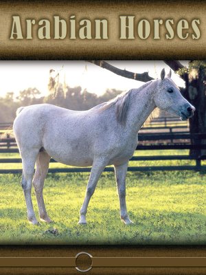 cover image of Arabian Horses
